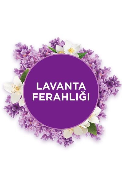 Glade Banyo 10 Ml Lavanta Ferağlığı + Makina