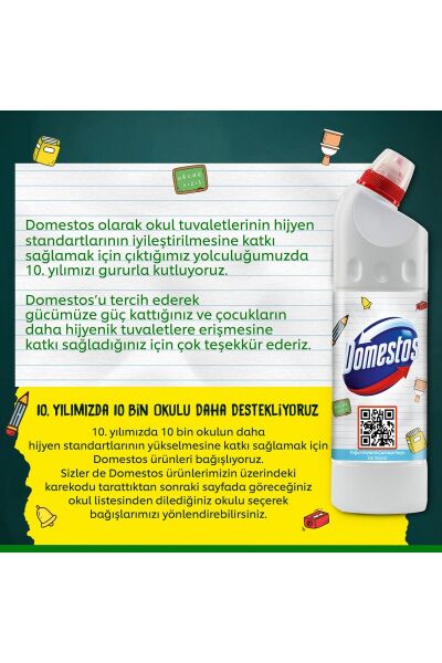 Domestos Kar Beyazı 750 ml