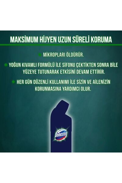Domestos Kar Beyazı 750 ml