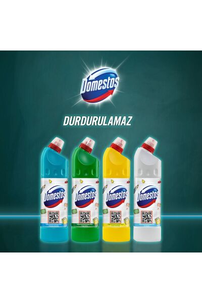 Domestos Kar Beyazı 750 ml