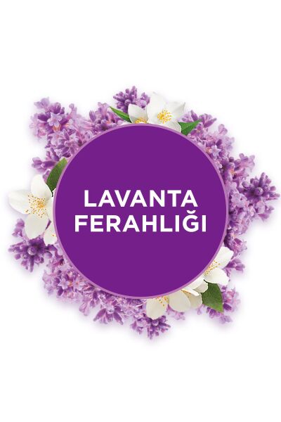 Glade Banyo 10 ml Yedek Lavanta Feralığı