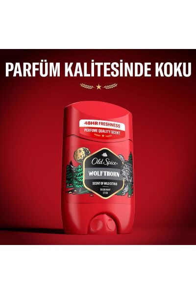 Old Spice Deo Stick Wolfthorn