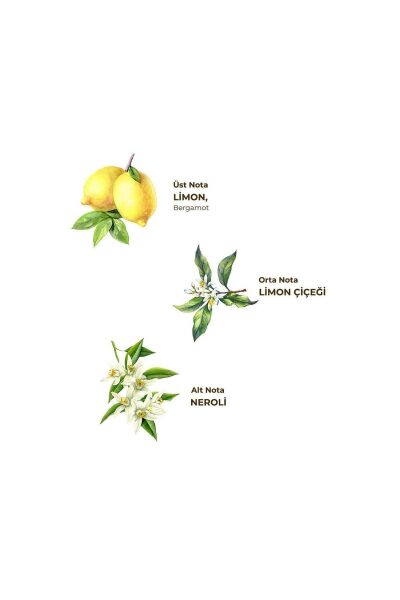 Eyüp Sabri Tuncer Kolonya Pet 1 L Limon