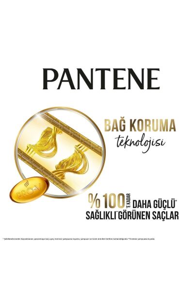 Pantene Şampuan 350 ml Temel Bakım