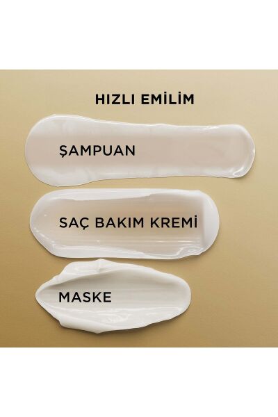 Pantene Temel Bakım 3'ü1 Arada Şampuan 400 ml
