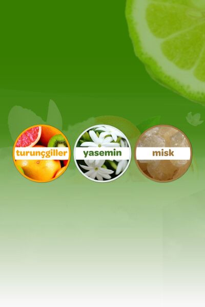 Dalin Kolonya 150 ml Orman Esintisi