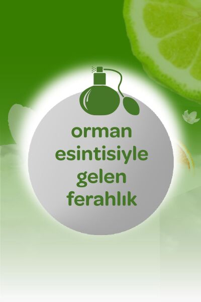 Dalin Kolonya 150 ml Orman Esintisi