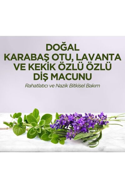 Eyüp Sabri Tuncer Doğal Karabaş Otu - Lavanta ve Kekik Özlü Diş Macunu 90 ml