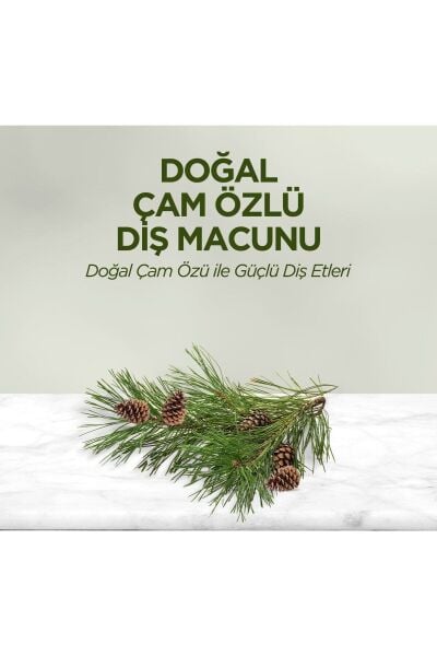 Eyüp Sabri Tuncer Doğal Çam Özlü Diş Macunu 90 ml