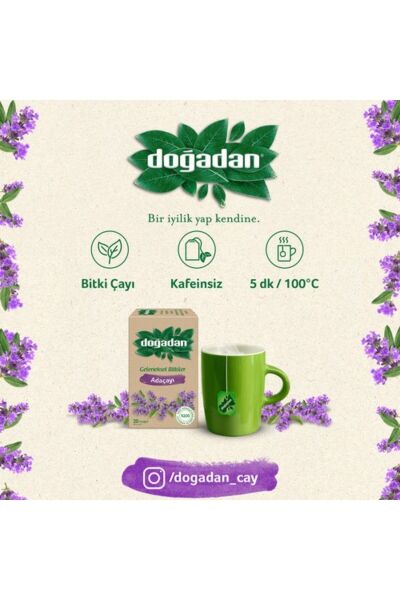 Doğadan 20'li Adaçayı