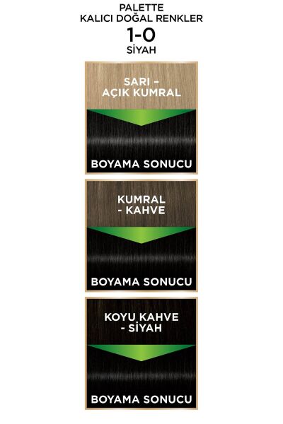 Palette Kalıcı Doğal Renkler Saç Boyası 1-0 Siyah