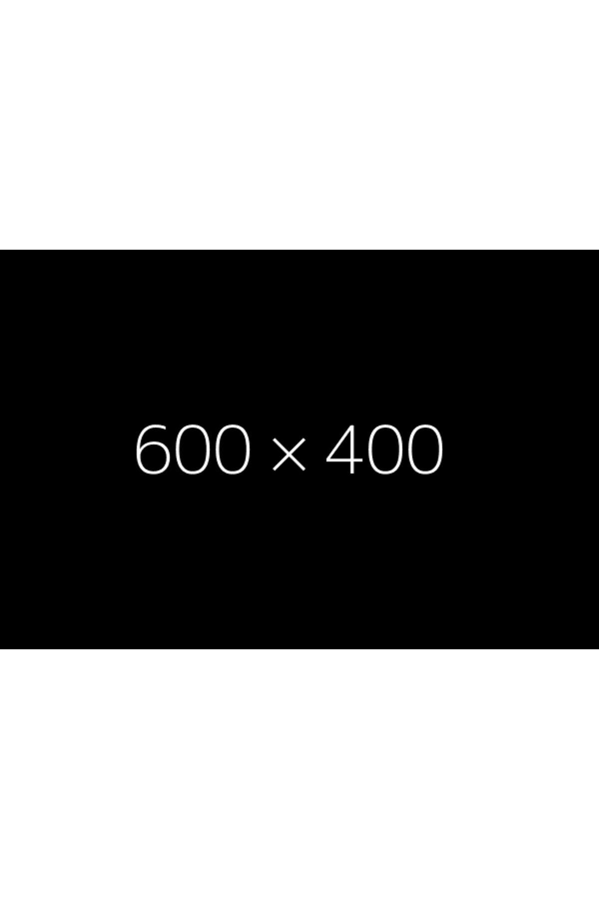 BİNGO ÇOK AMAÇLI TEMİZLİK HAVLUSU 96 LI PAKET