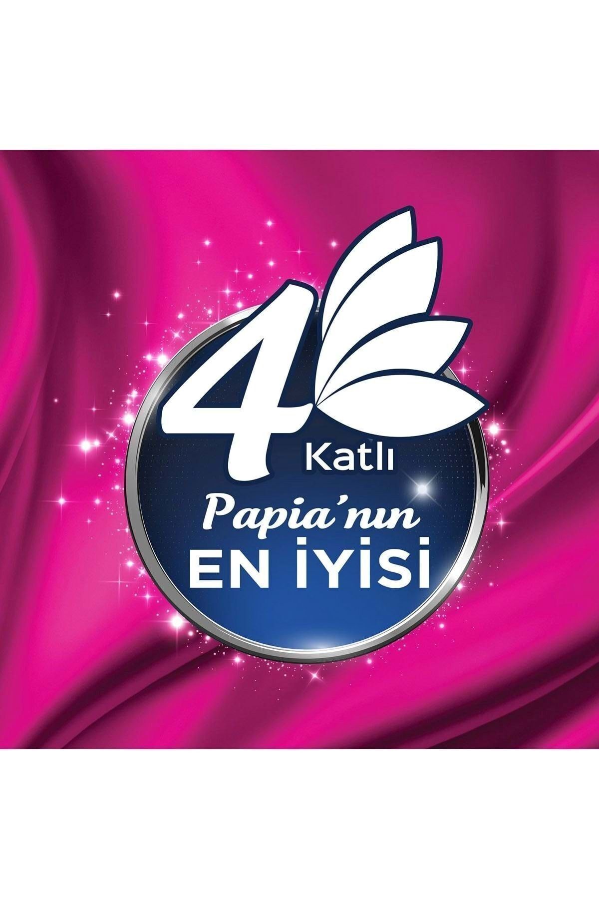 Platinum Jumbo Kağıt Havlu Dev Rulo 2 = 4 Rolls