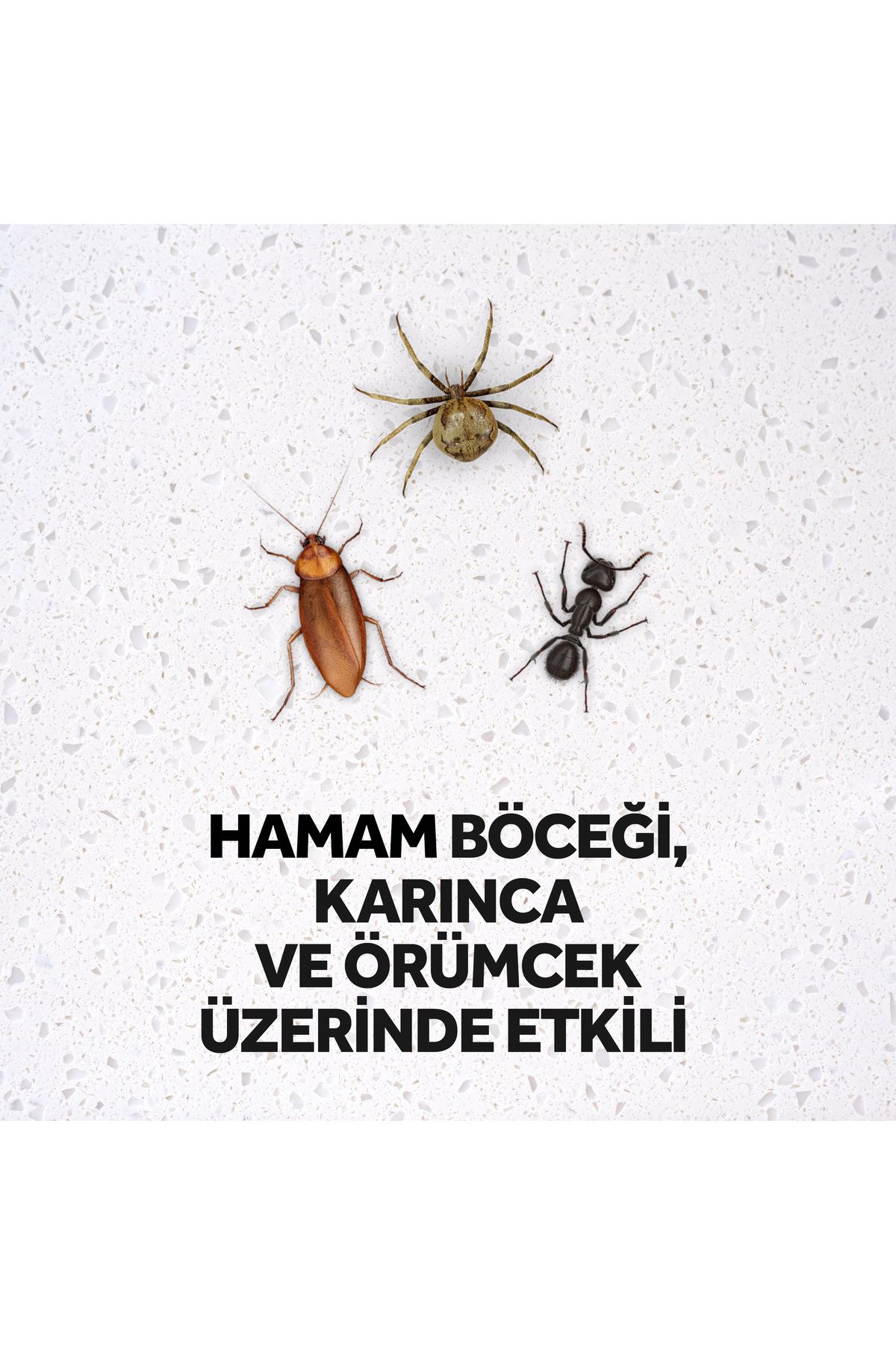 Raid Max Böceksavar Sprey 300 ml