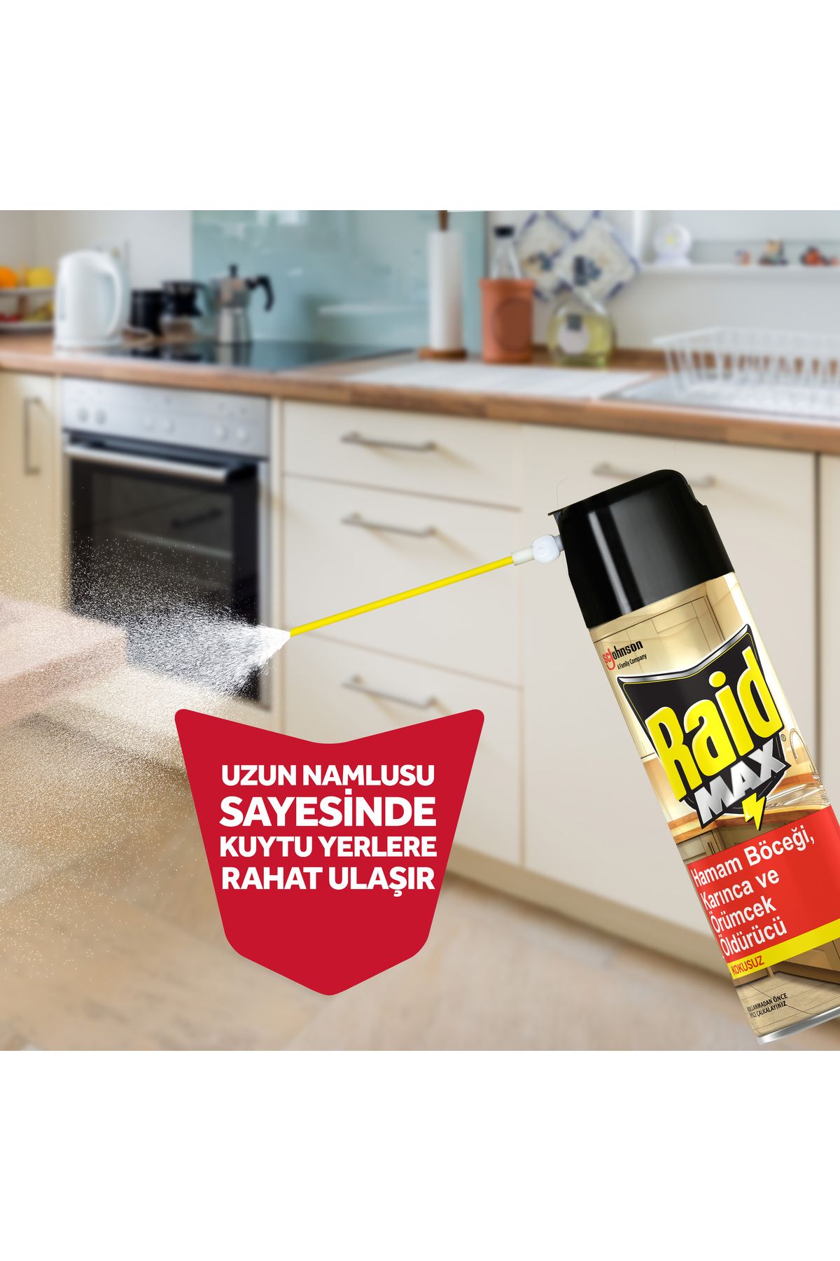 Raid Max Böceksavar Sprey 300 ml