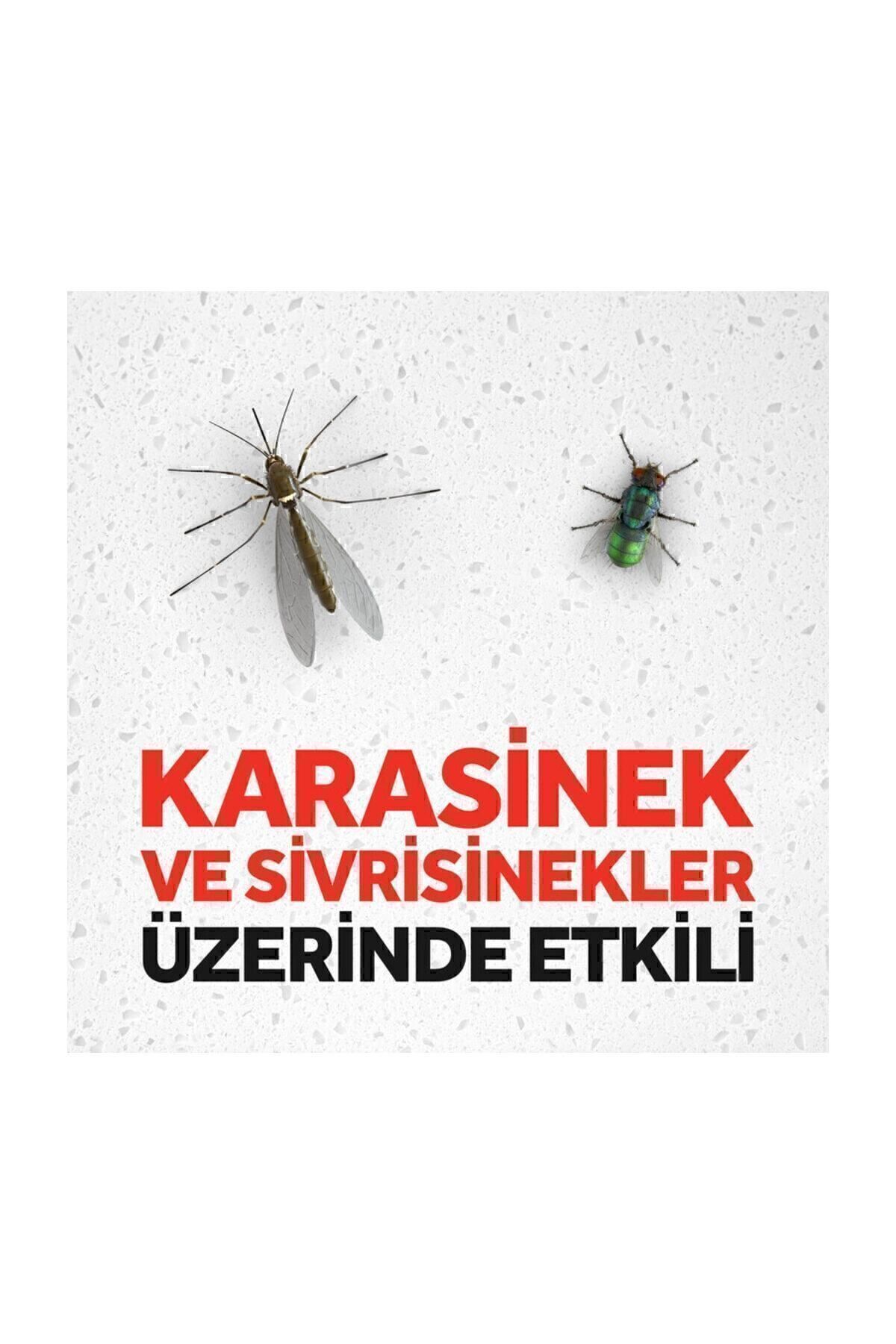 Raid Sinek Öldürücü Sprey 300 Ml