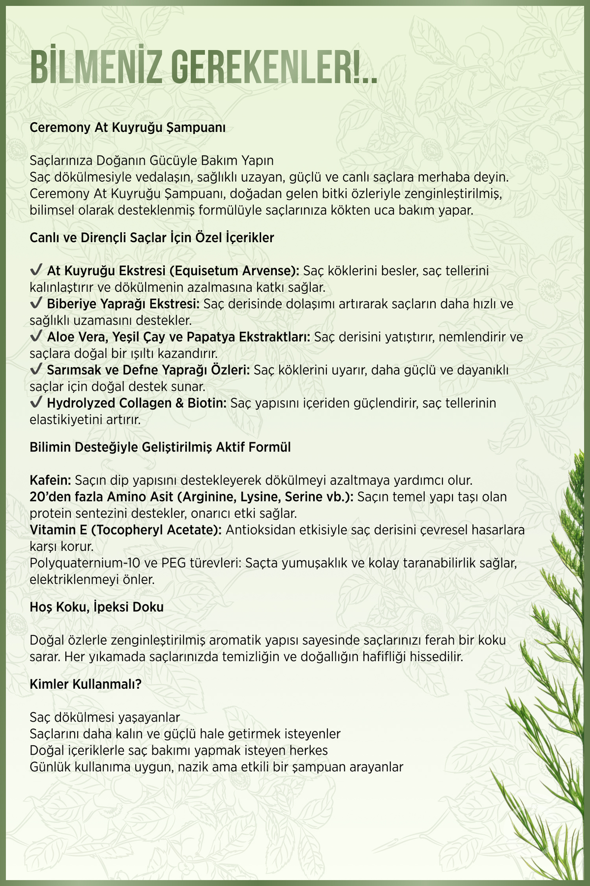 Ceremony At Kuyruğu, Biberiye ve Hyalüronik İçeren 15 Bileşenli Şampuan 400 Ml