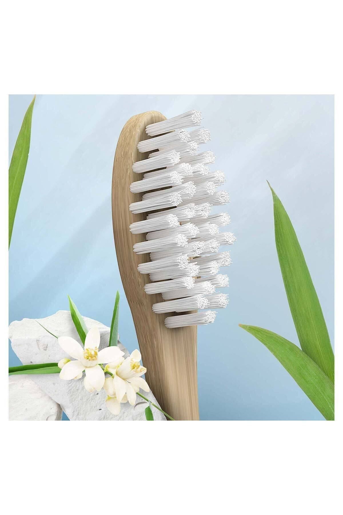 Diş Fırçası Bambu