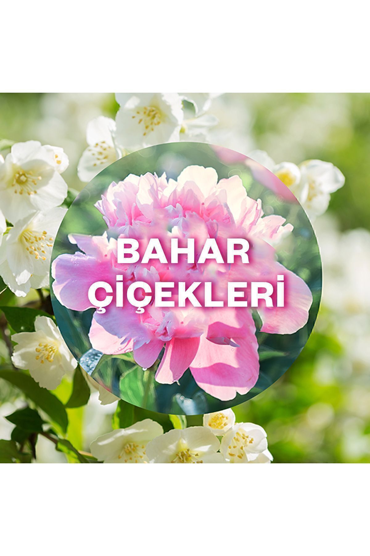 Elektrikli Oda Kokusu Yedek Şişe Bahar Çiçekleri - Esansiyel Yağlar Içerir*