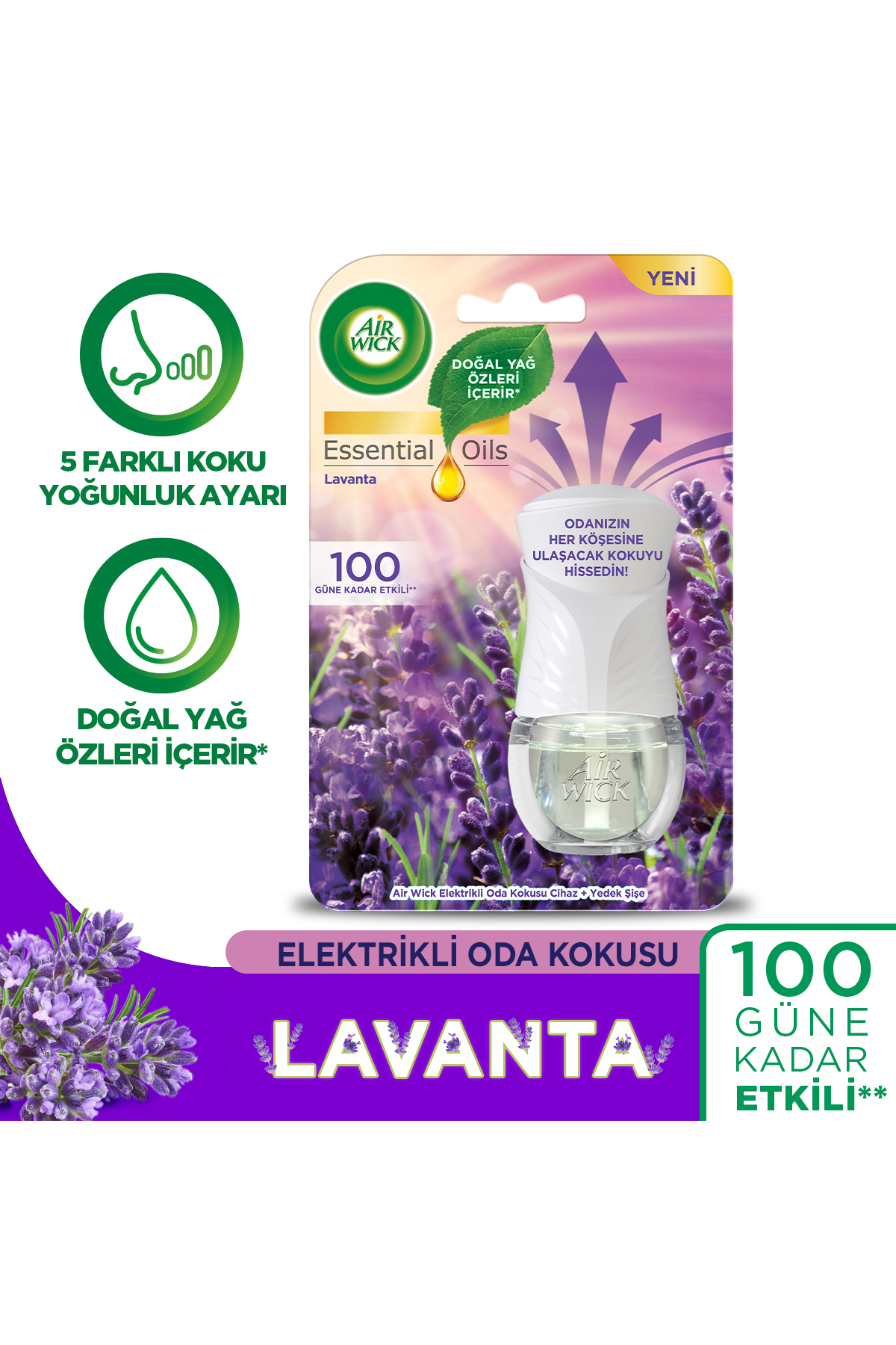 Elektrikli Oda Kokusu Cihaz Yedek Şişe Lavanta
