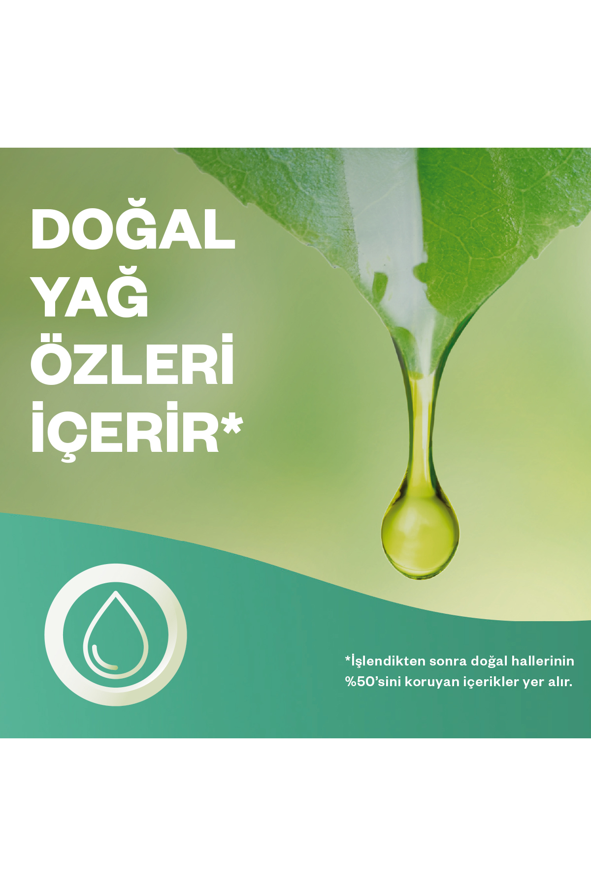 Elektrikli Oda Kokusu Cihaz Yedek Şişe Lavanta