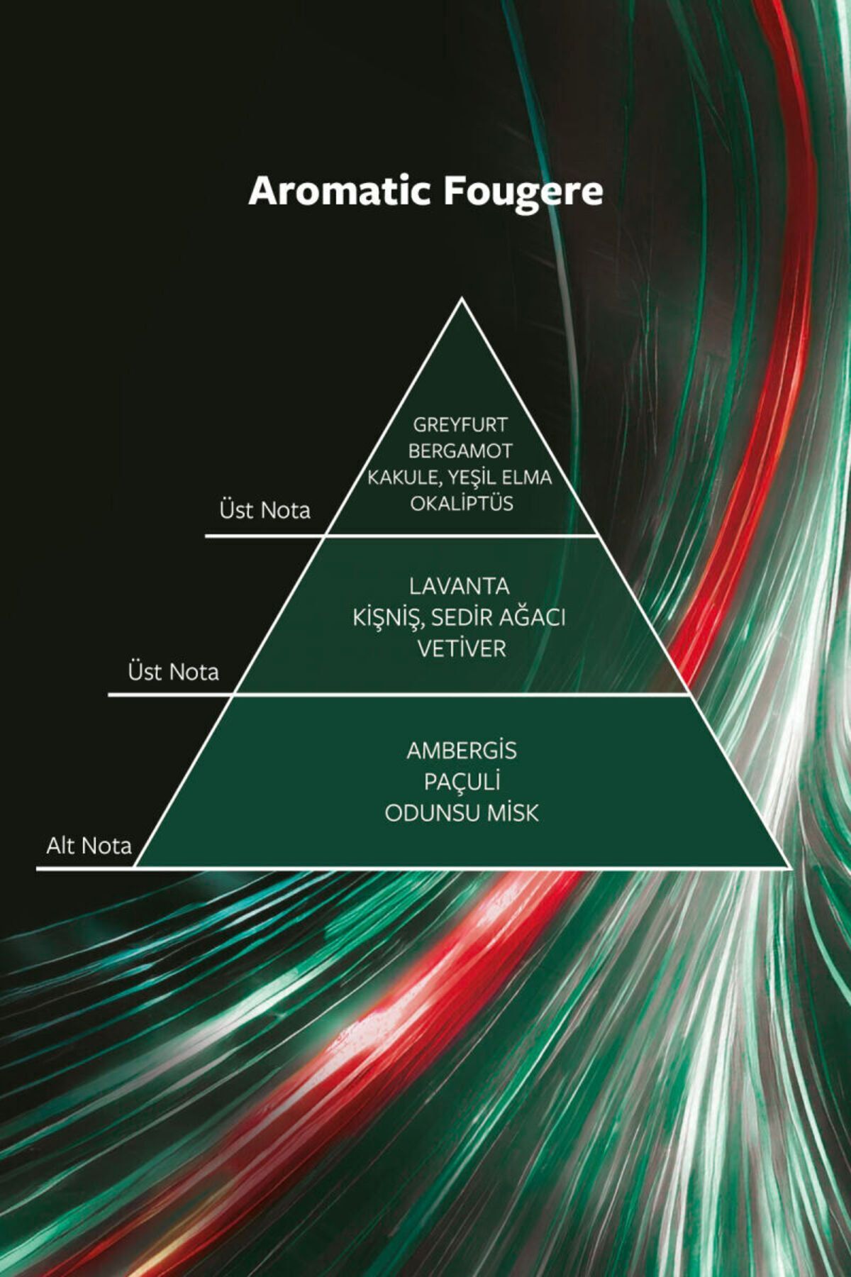 Roll-On Afterdark 50 Ml
