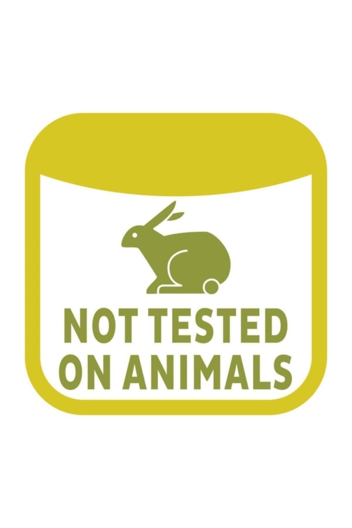 Turco Baby Islak Havlu 90'lı Zeytinyağlı