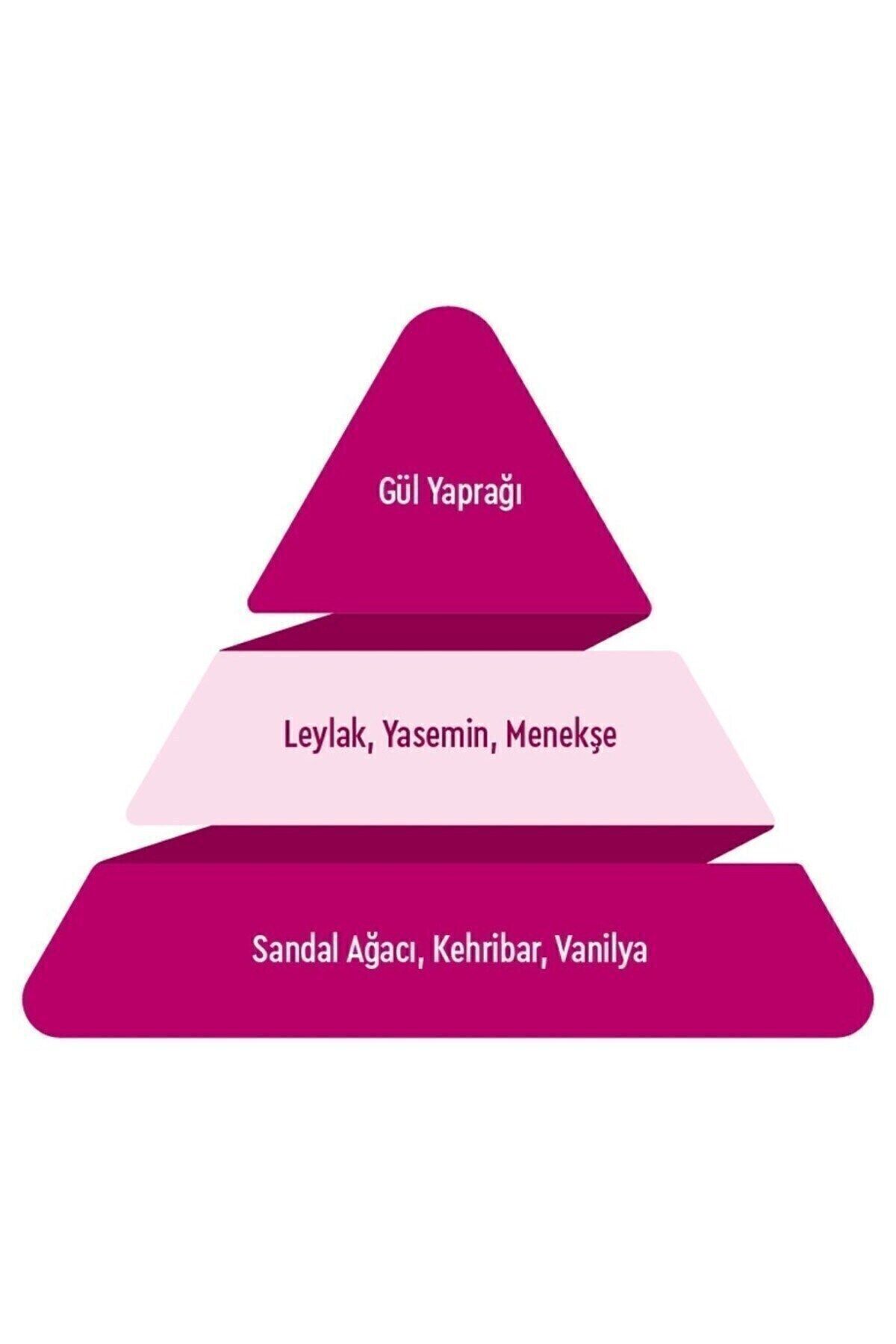 Classic Kadın Parfüm Edt 100 ml