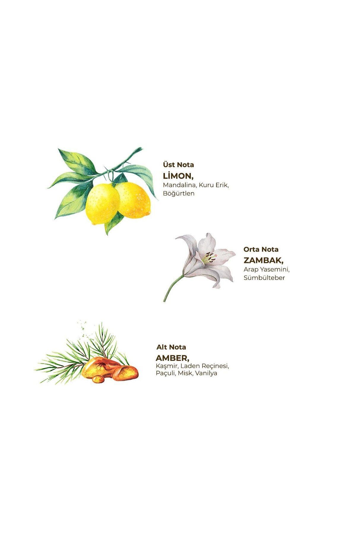 Yasemin 400 ml Kolonya Pet Şişe