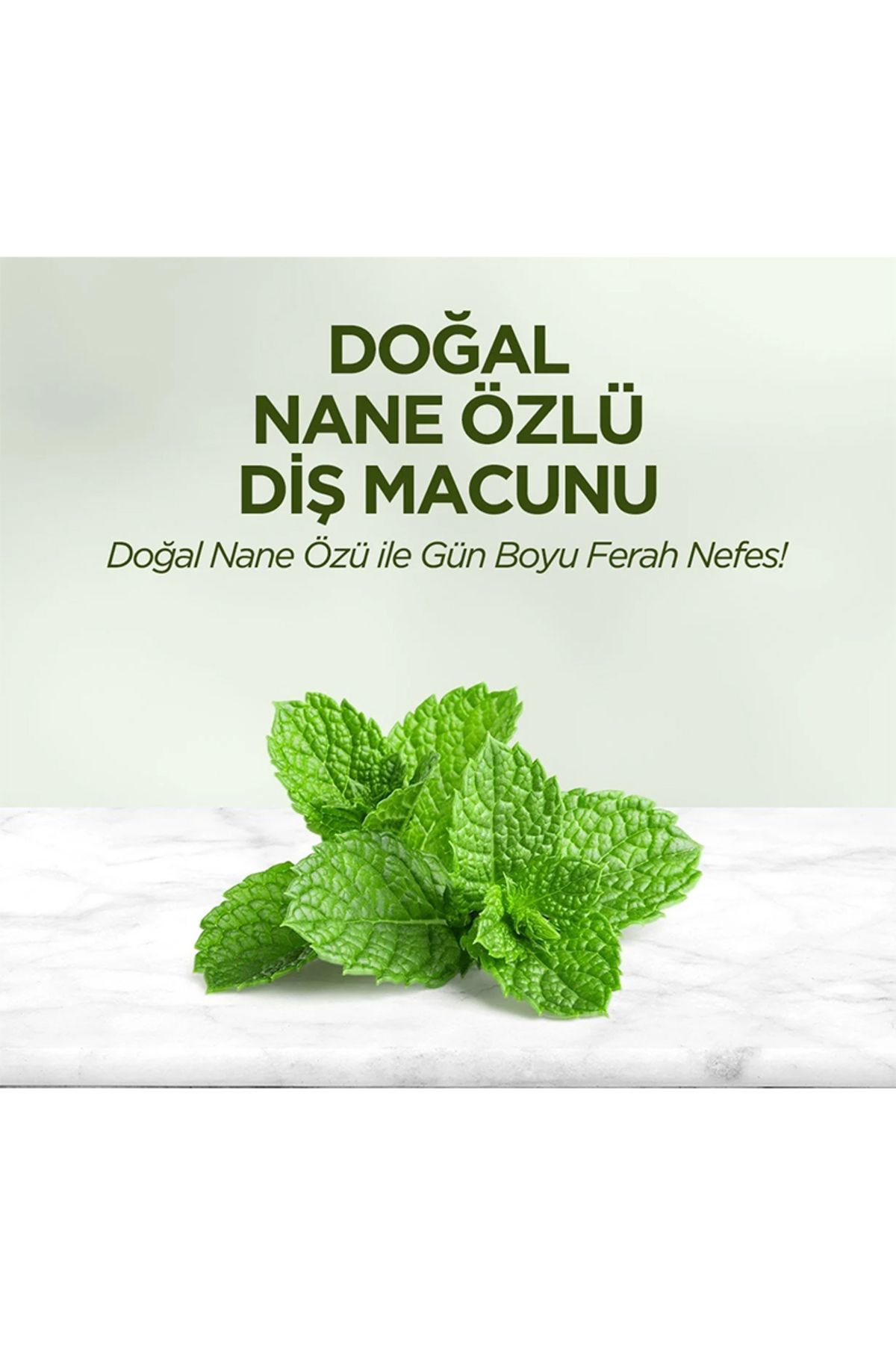 Doğal Nane Özlü Diş Macunu 90 ml
