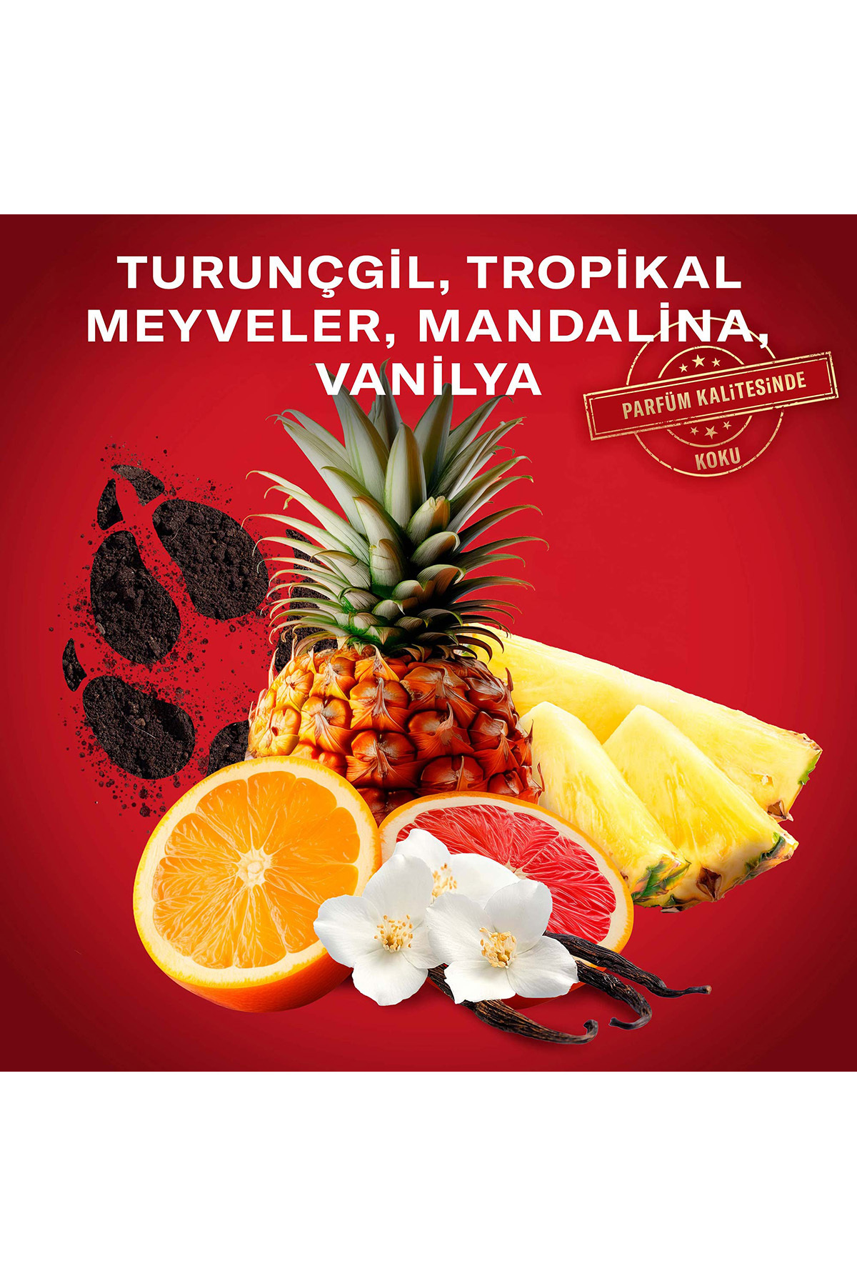 Wolfthorn Erkekler Için Deodorant Stick 50 ml