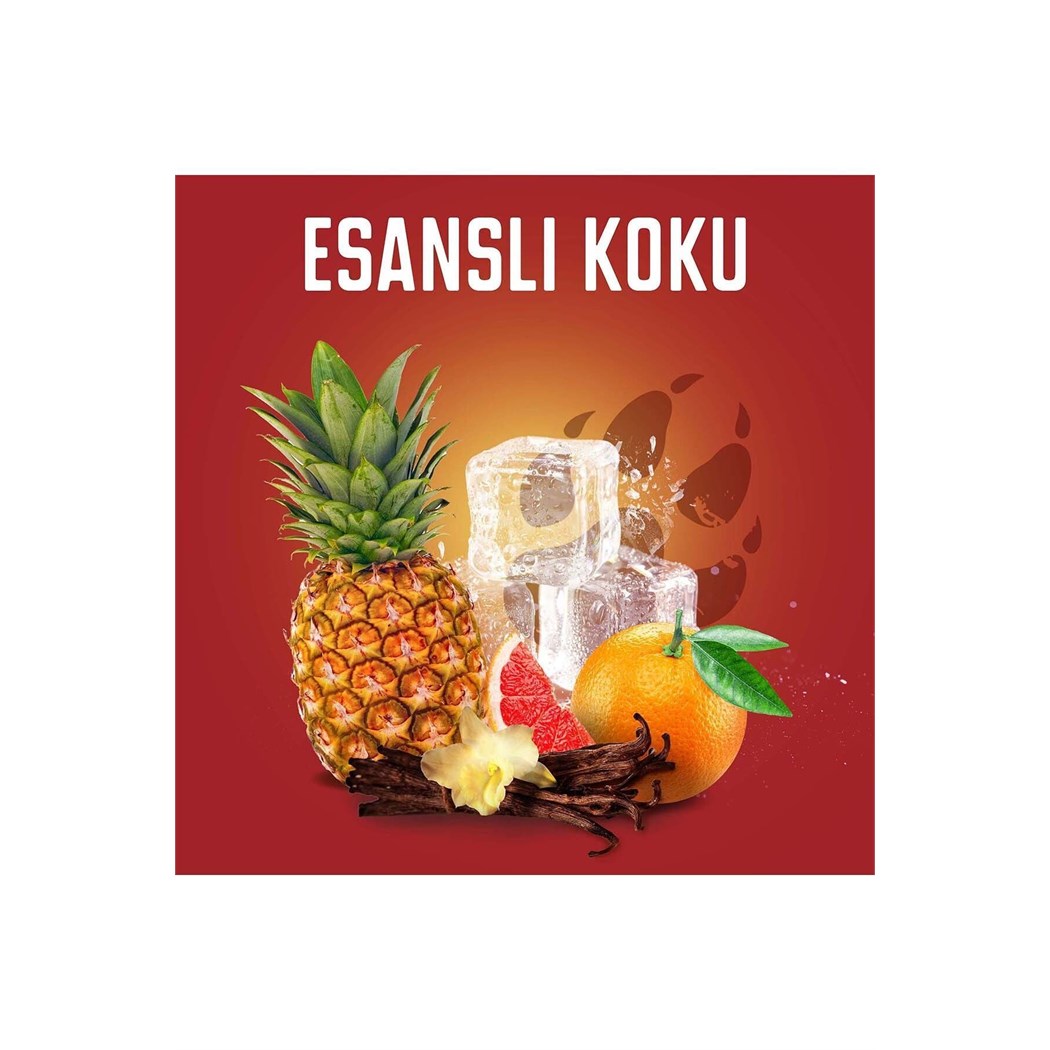 Wolfthorn Erkekler İçin Duş Jeli ve Şampuan 400 ml