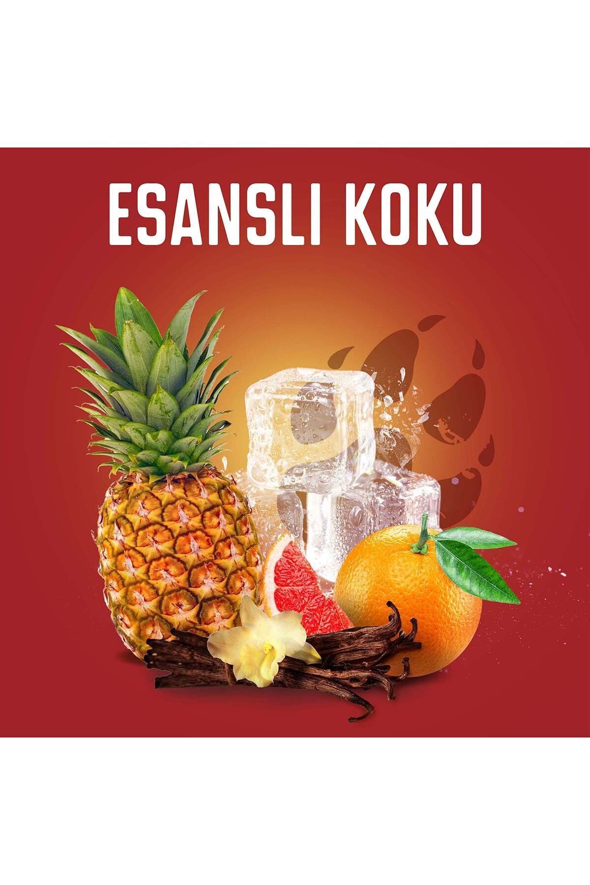 Wolfthorn Erkekler İçin Duş Jeli ve Şampuan 400 ml