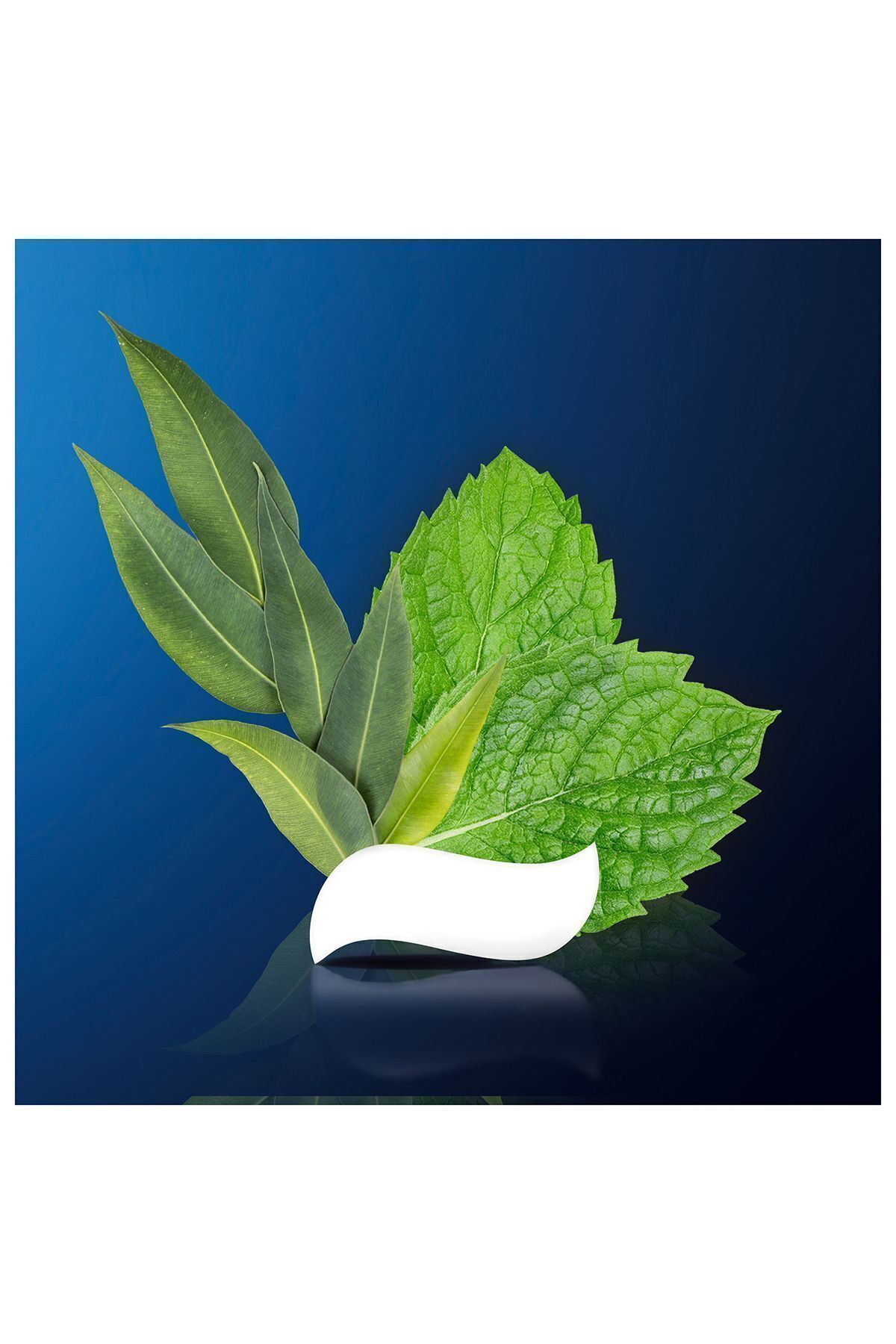 Diş Macunu 75 ml Hassasiyet Nane