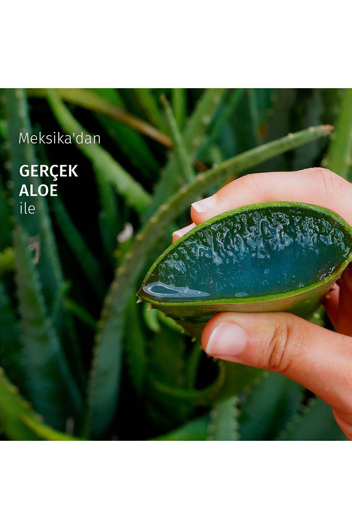 Sülfatsız Yatıştırıcı Aloe Içeren Şampuan 350 ml