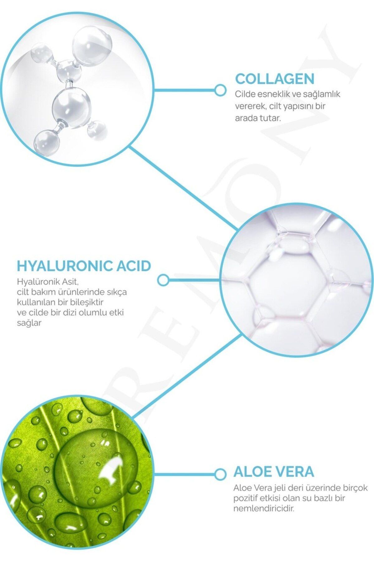 Masa Üstü Stand Yüz Temizleme Jeli 12'li