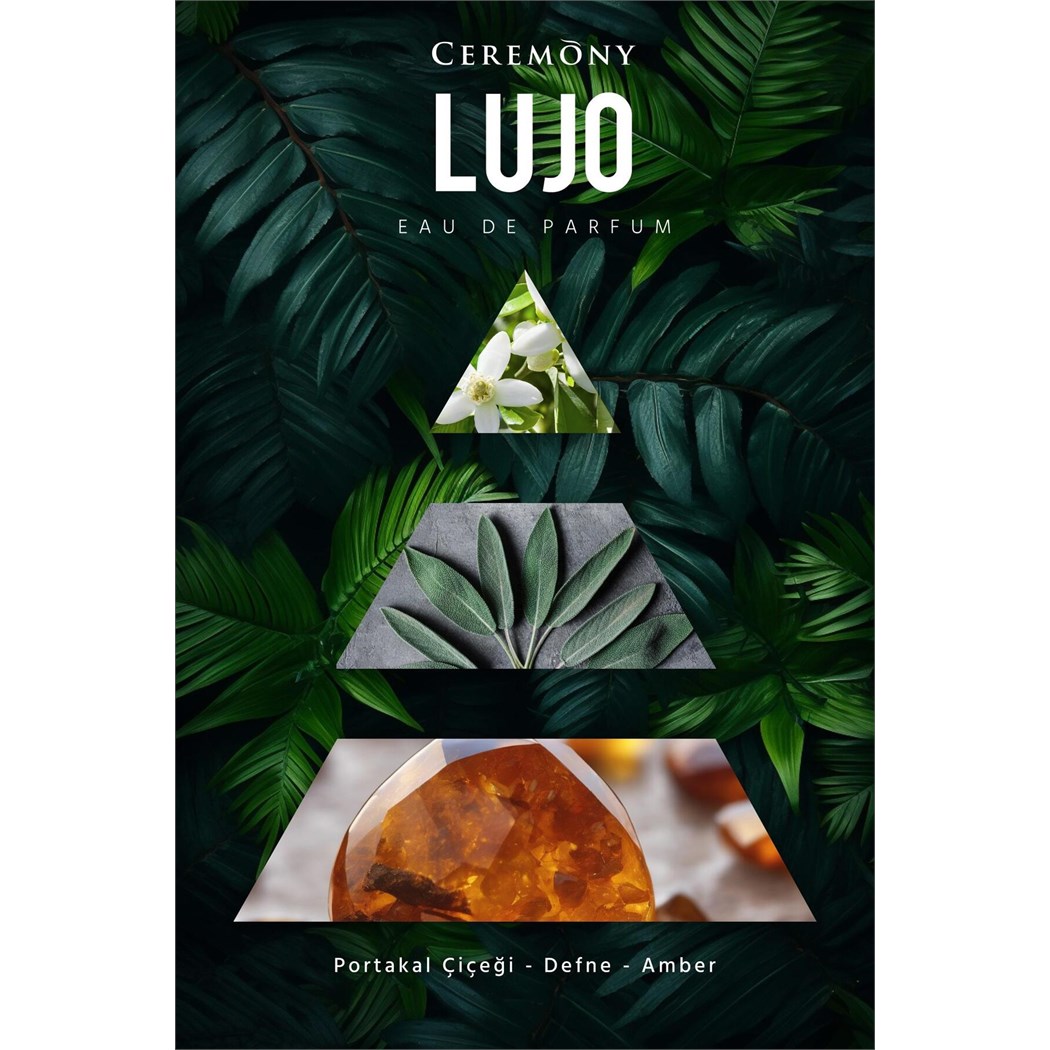 Lujo 50 ml Edp Erkek Parfüm