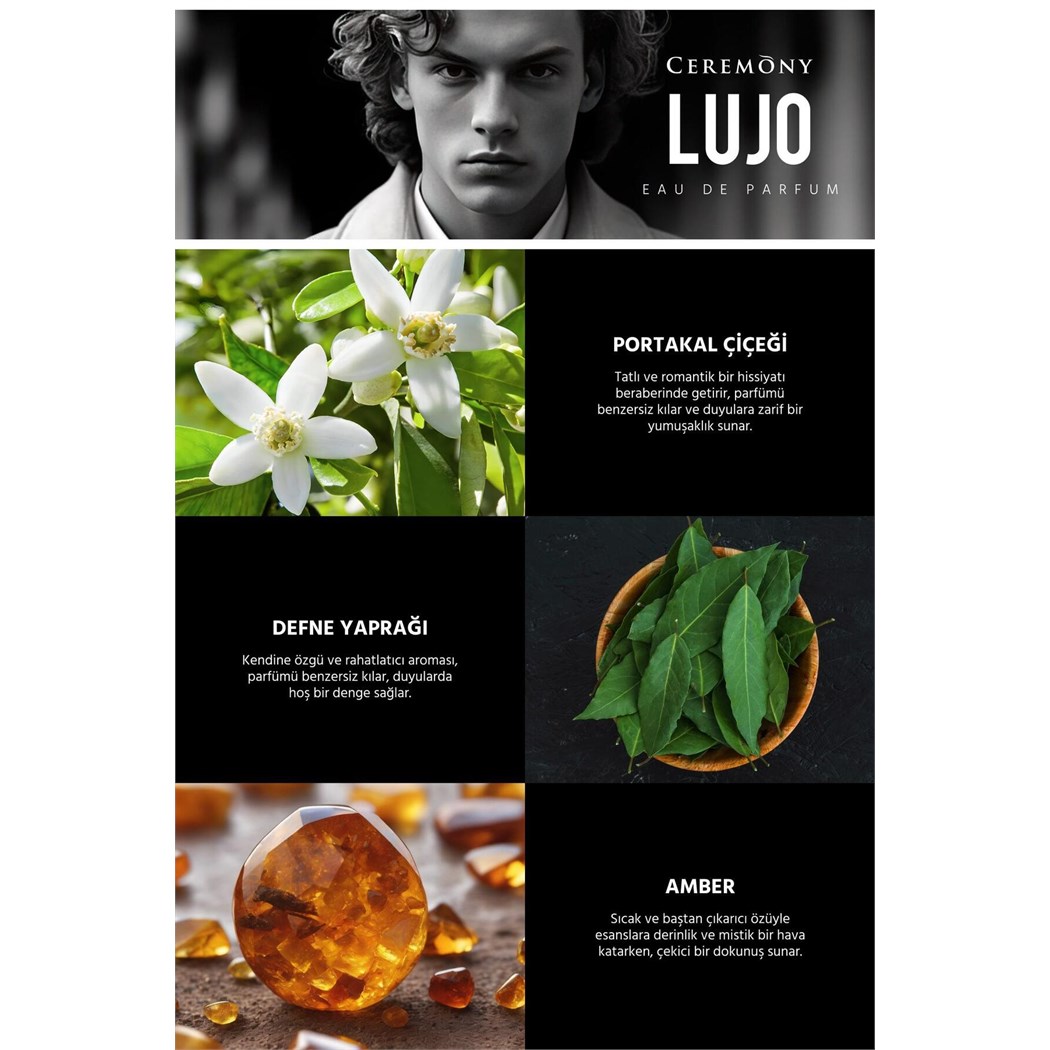 Lujo 50 ml Edp Erkek Parfüm
