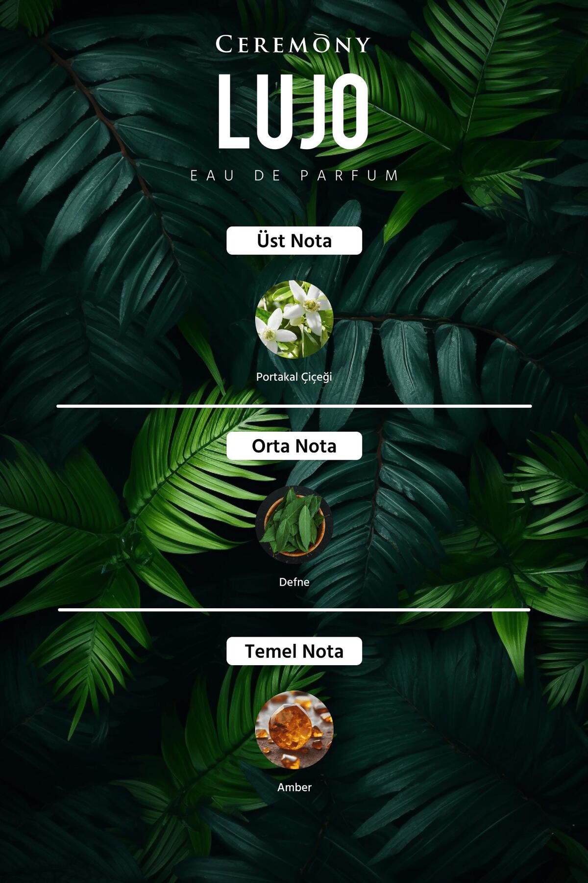 Lujo 50 ml Edp Erkek Parfüm