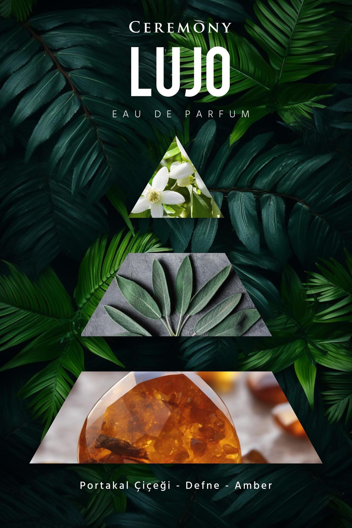 Lujo 50 ml Edp Erkek Parfüm