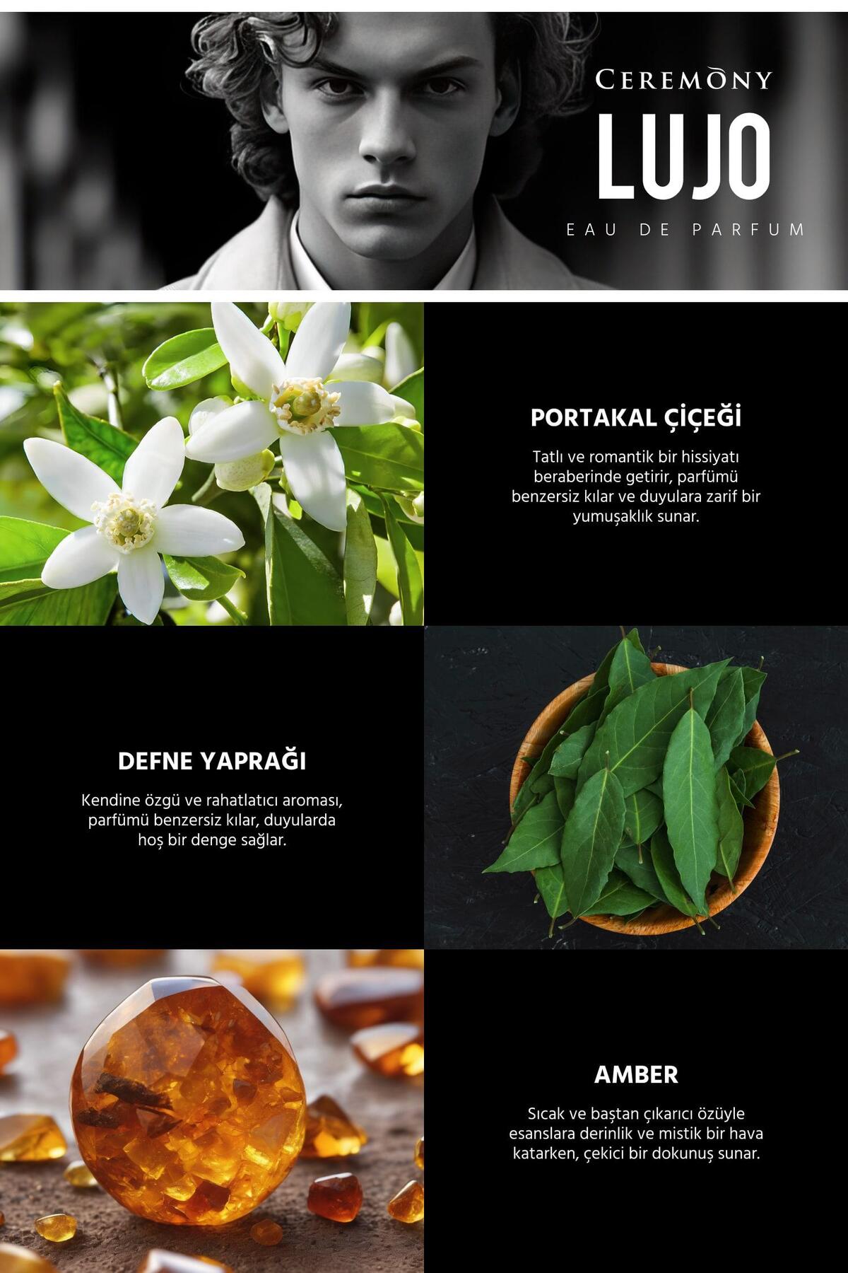 Lujo 50 ml Edp Erkek Parfüm