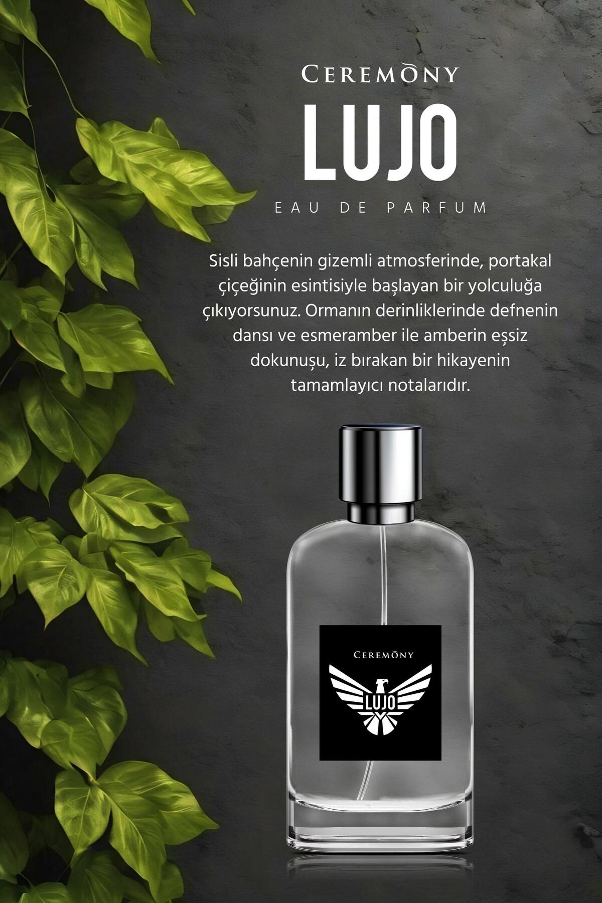 Lujo 50 ml Edp Erkek Parfüm