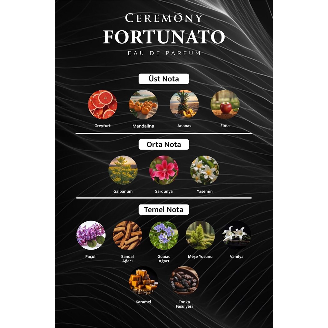Fortunato 50 ml Edp Erkek Parfüm