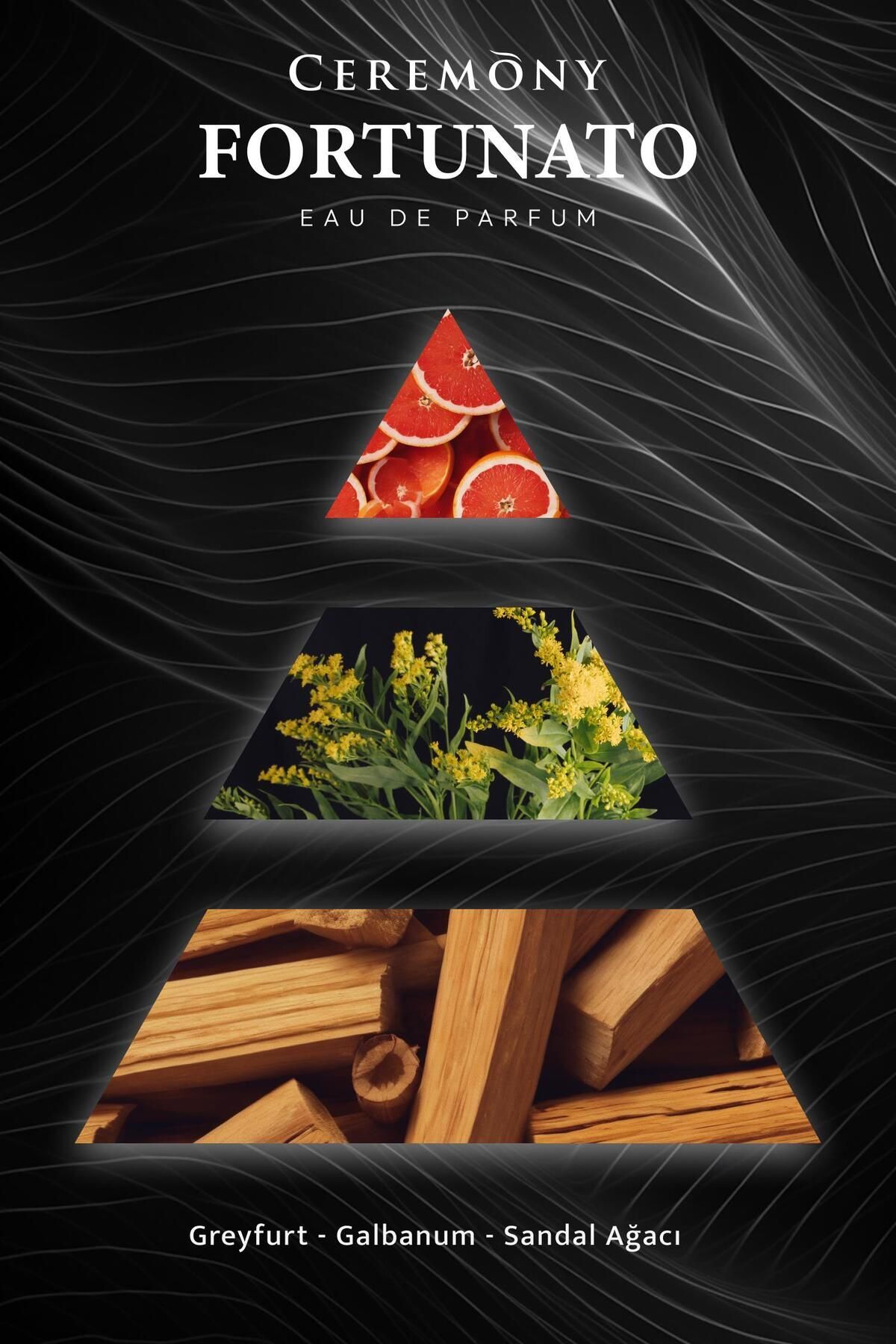 Fortunato 50 ml Edp Erkek Parfüm