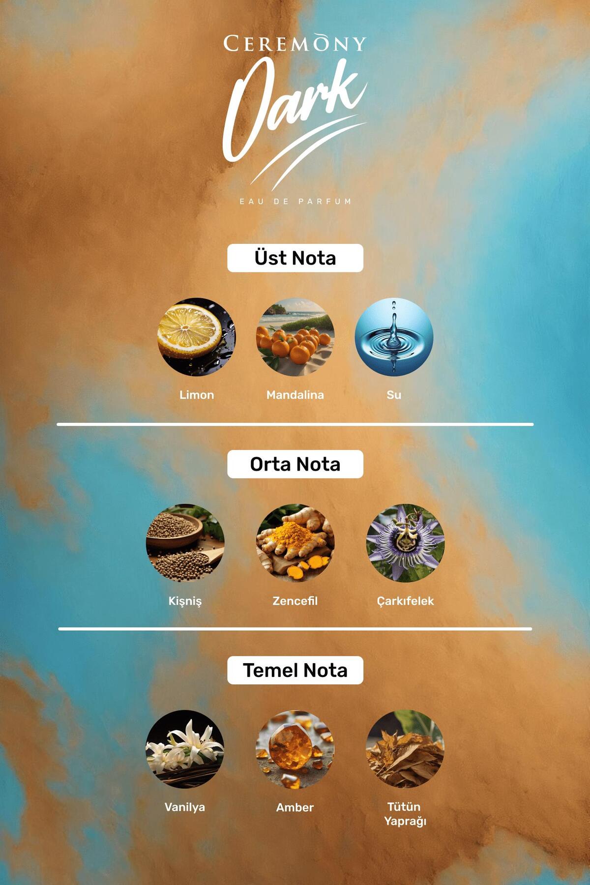 Dark 50 ml Edp Erkek Parfüm