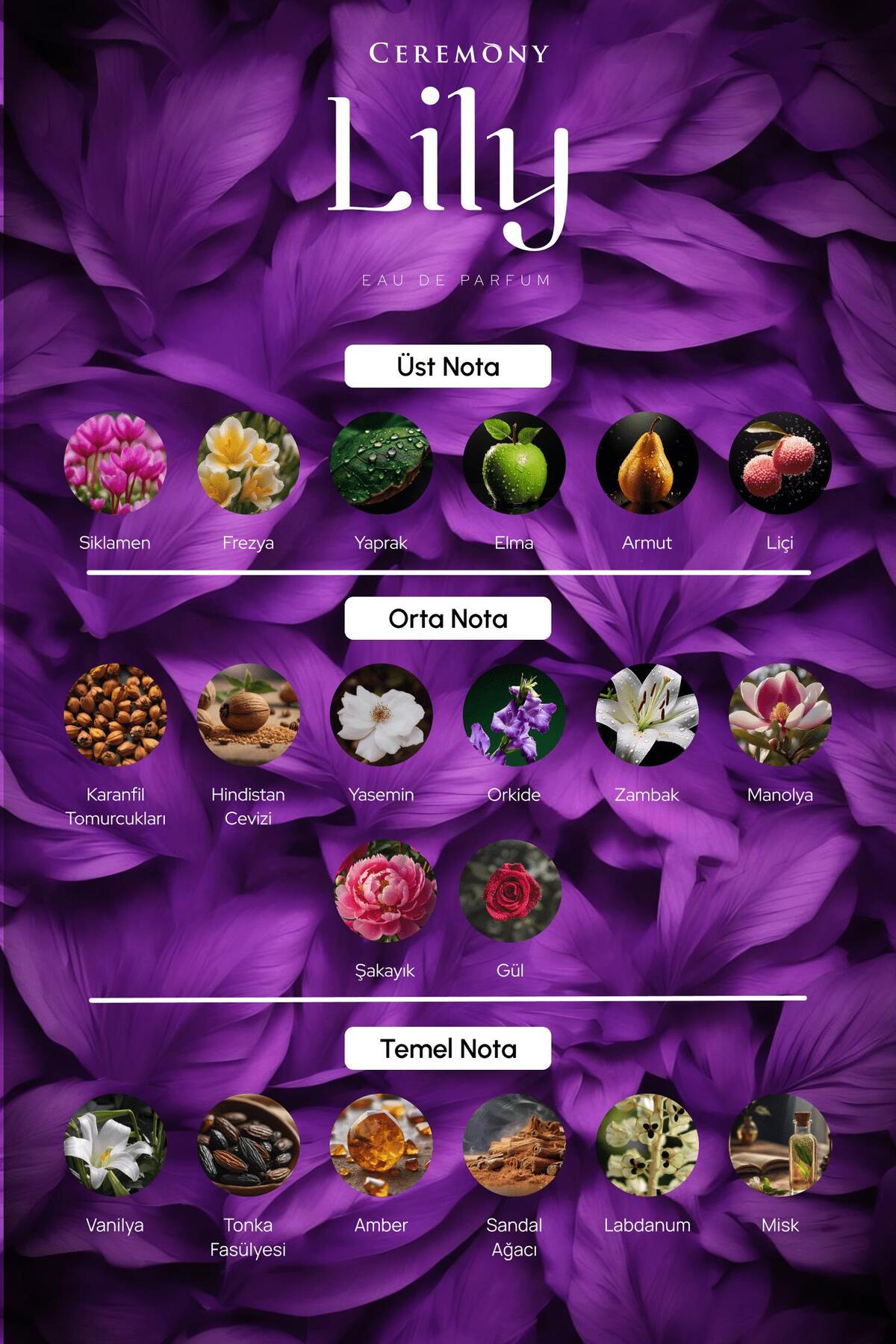 Lily 50 ml Edp Kadın Parfüm