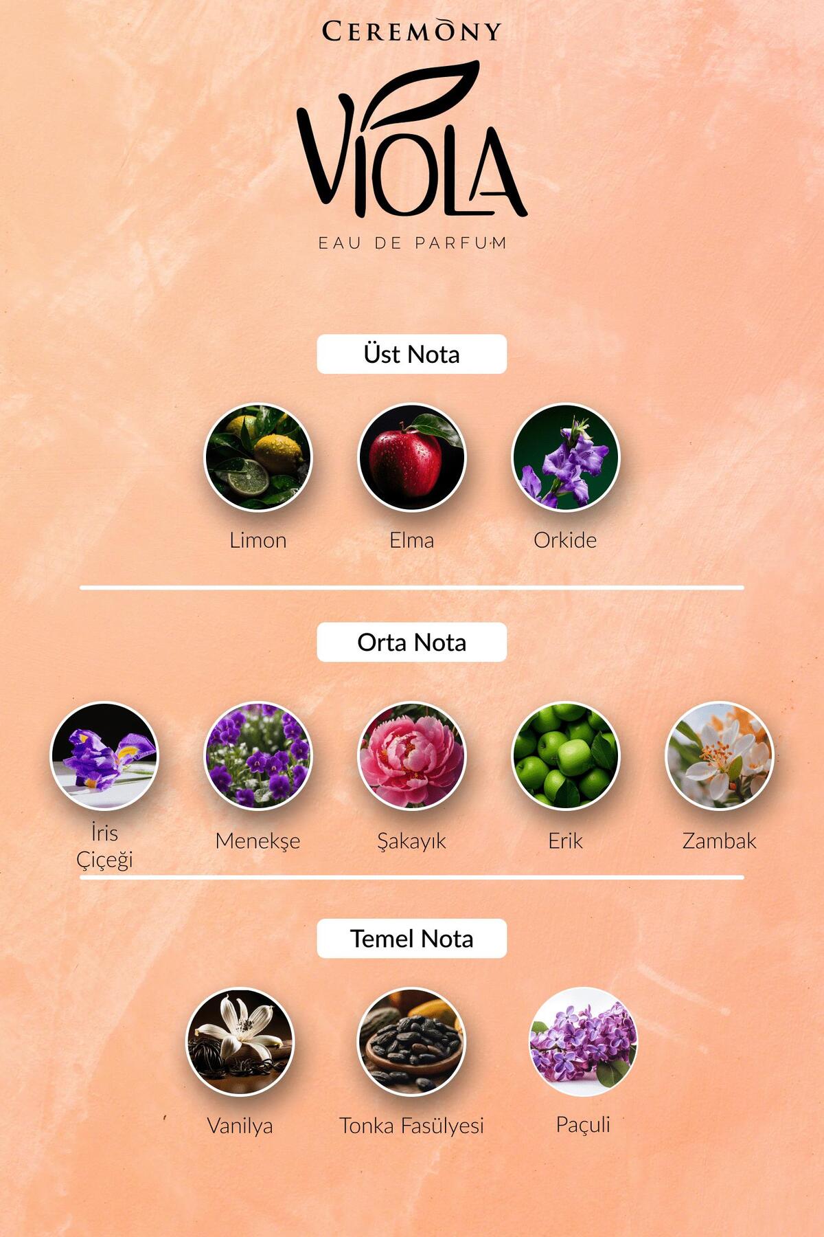 Viola 50 ml Edp Kadın Parfüm