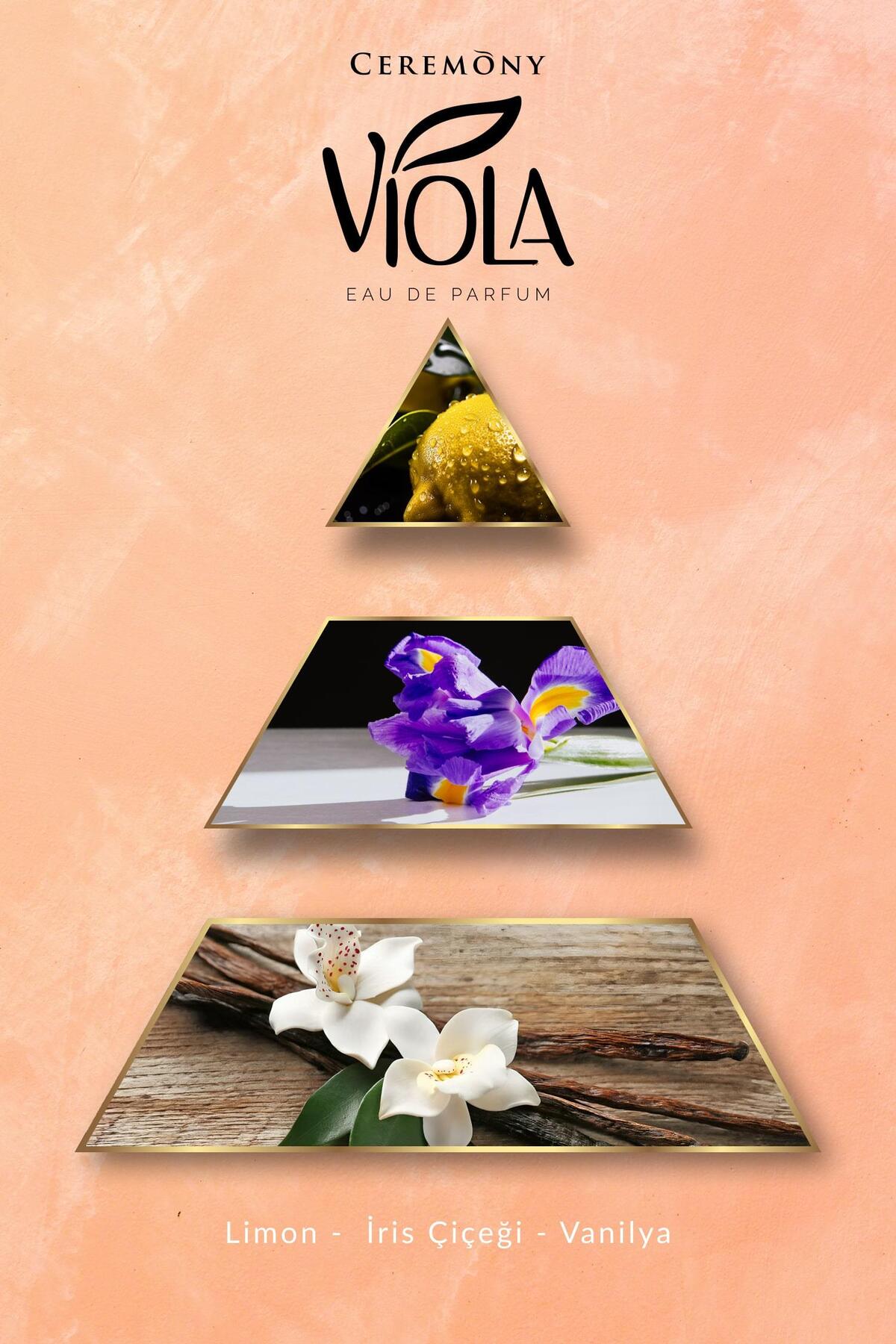 Viola 50 ml Edp Kadın Parfüm