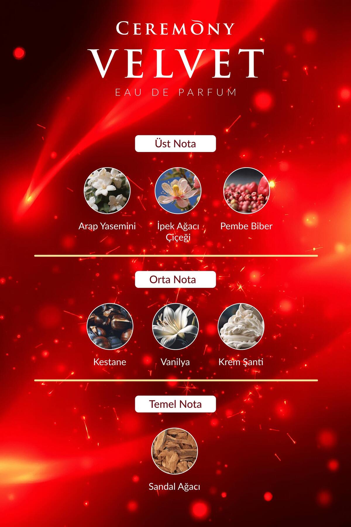 Velvet 50 ml Edp Kadın Parfüm