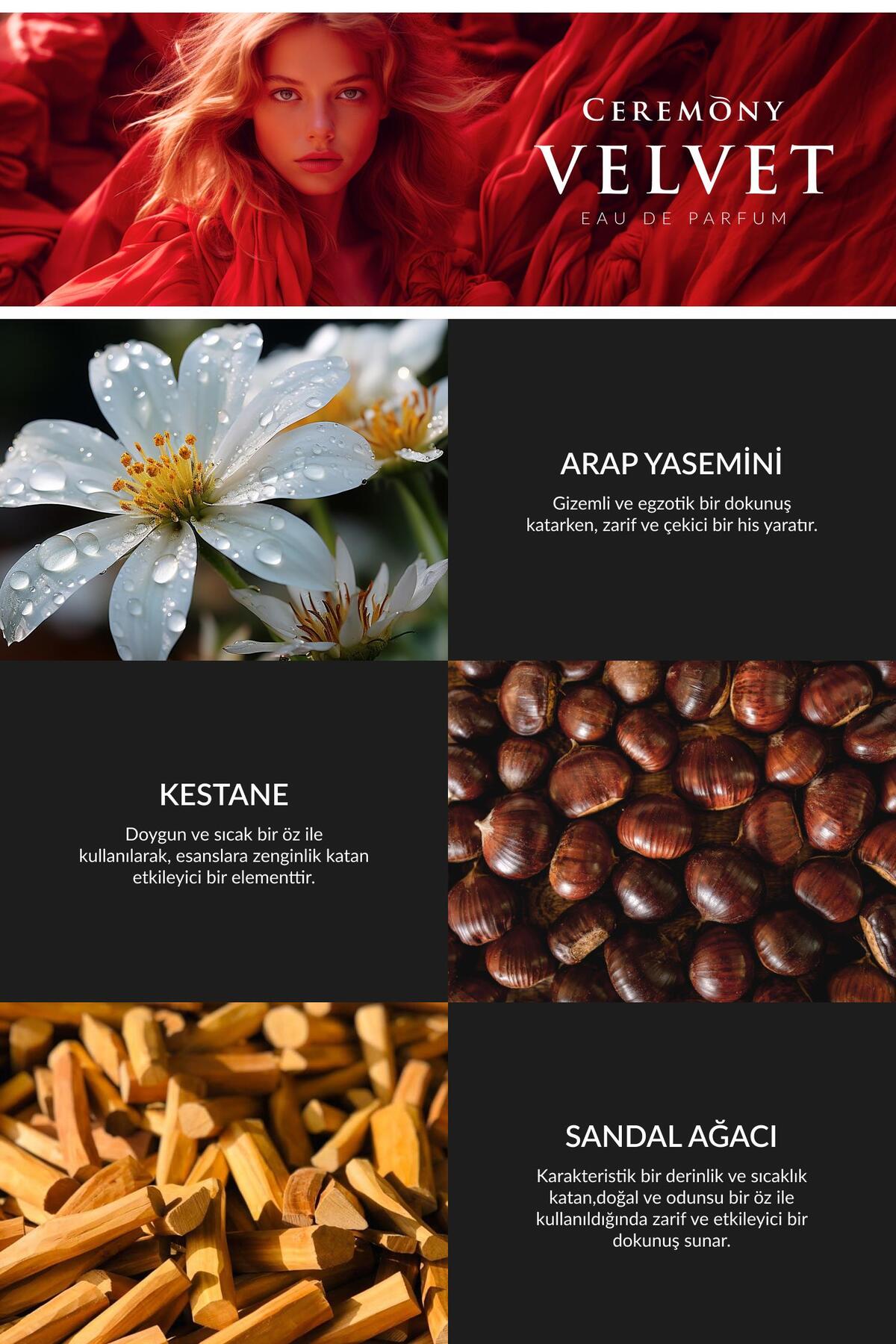 Velvet 50 ml Edp Kadın Parfüm